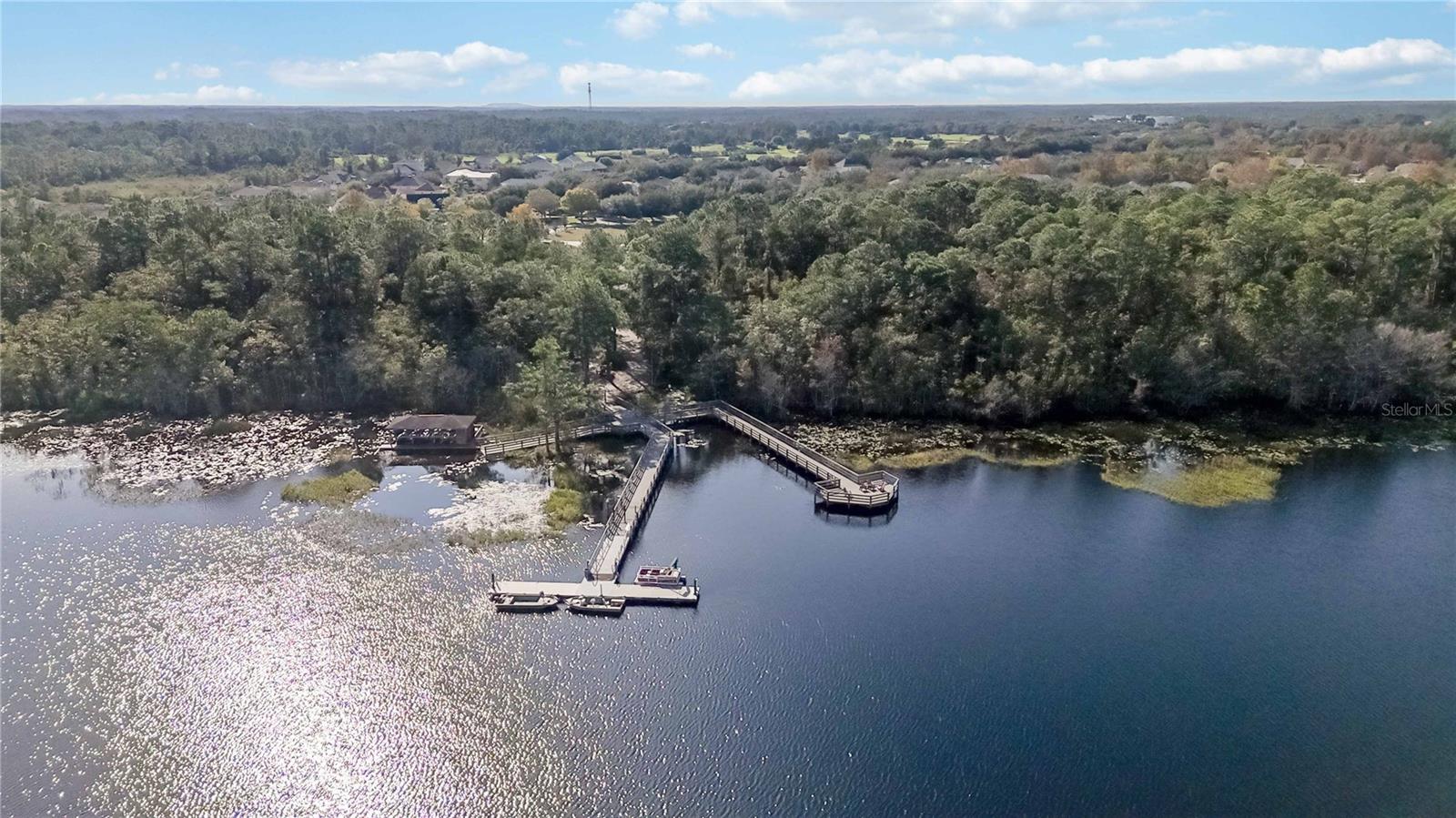 Image 64 of 100 For 3308 Primrose Willow Drive