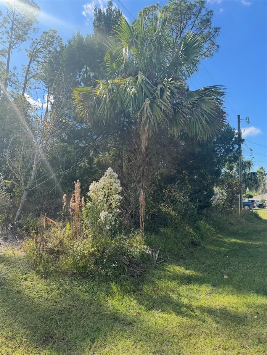 Image 3 of 5 For 38 Sleepy Hollow Trail