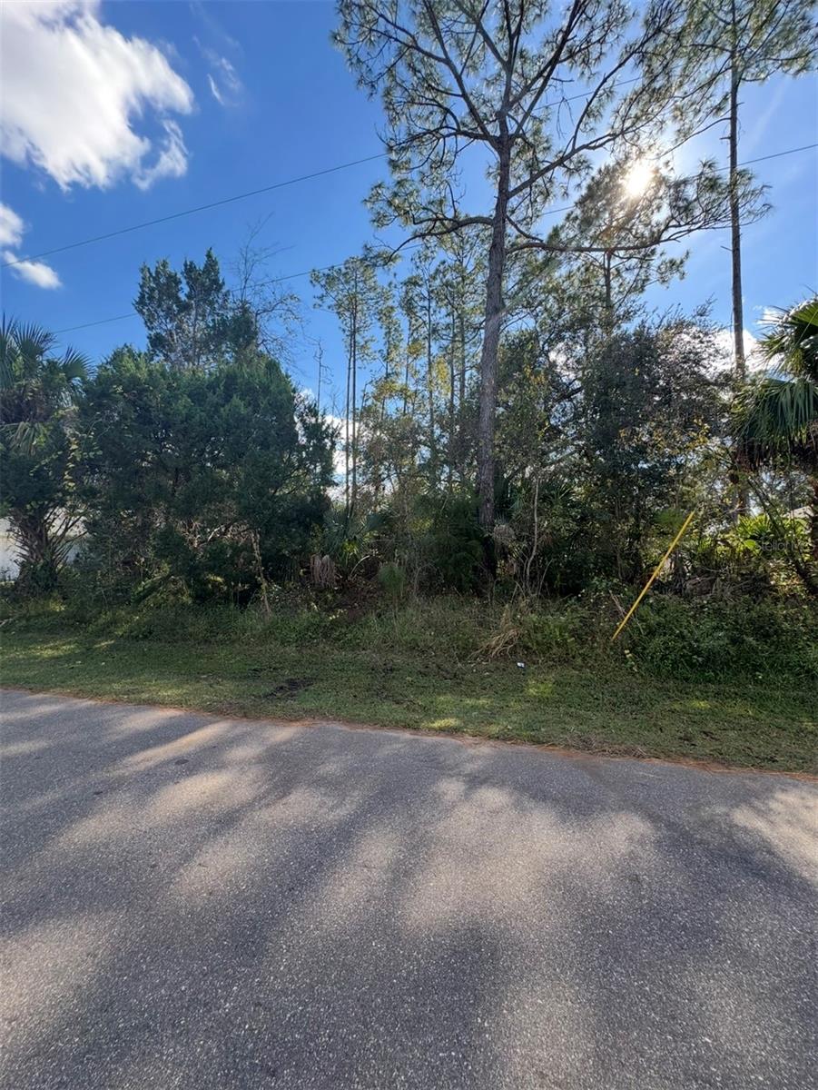 Image 4 of 5 For 38 Sleepy Hollow Trail