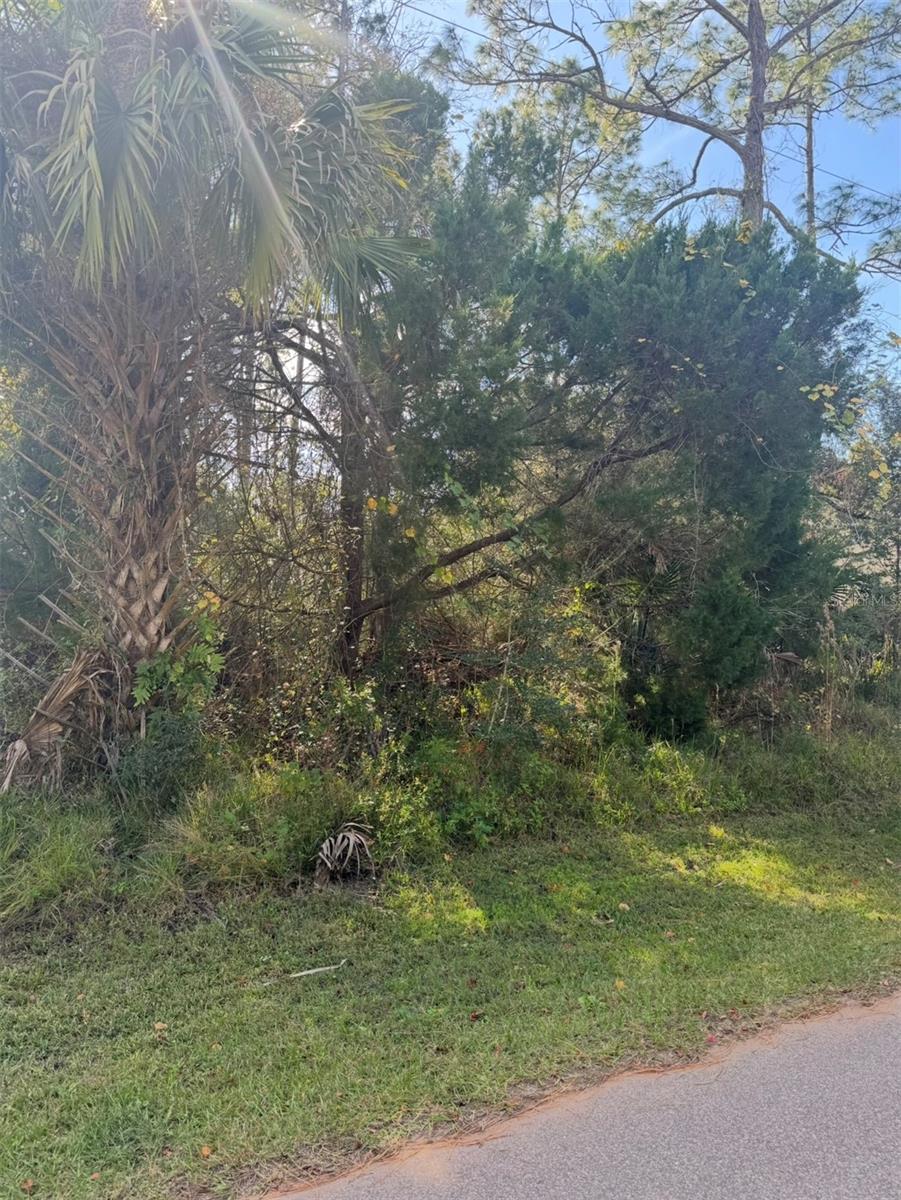 Image 5 of 5 For 38 Sleepy Hollow Trail