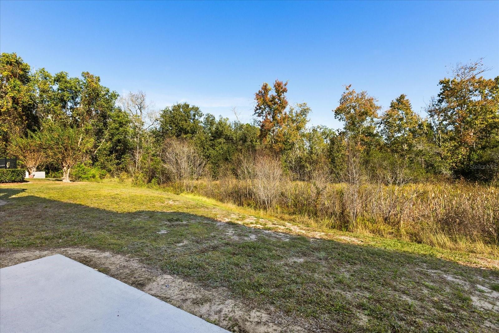 Image 19 of 25 For 214 Monroe Circle