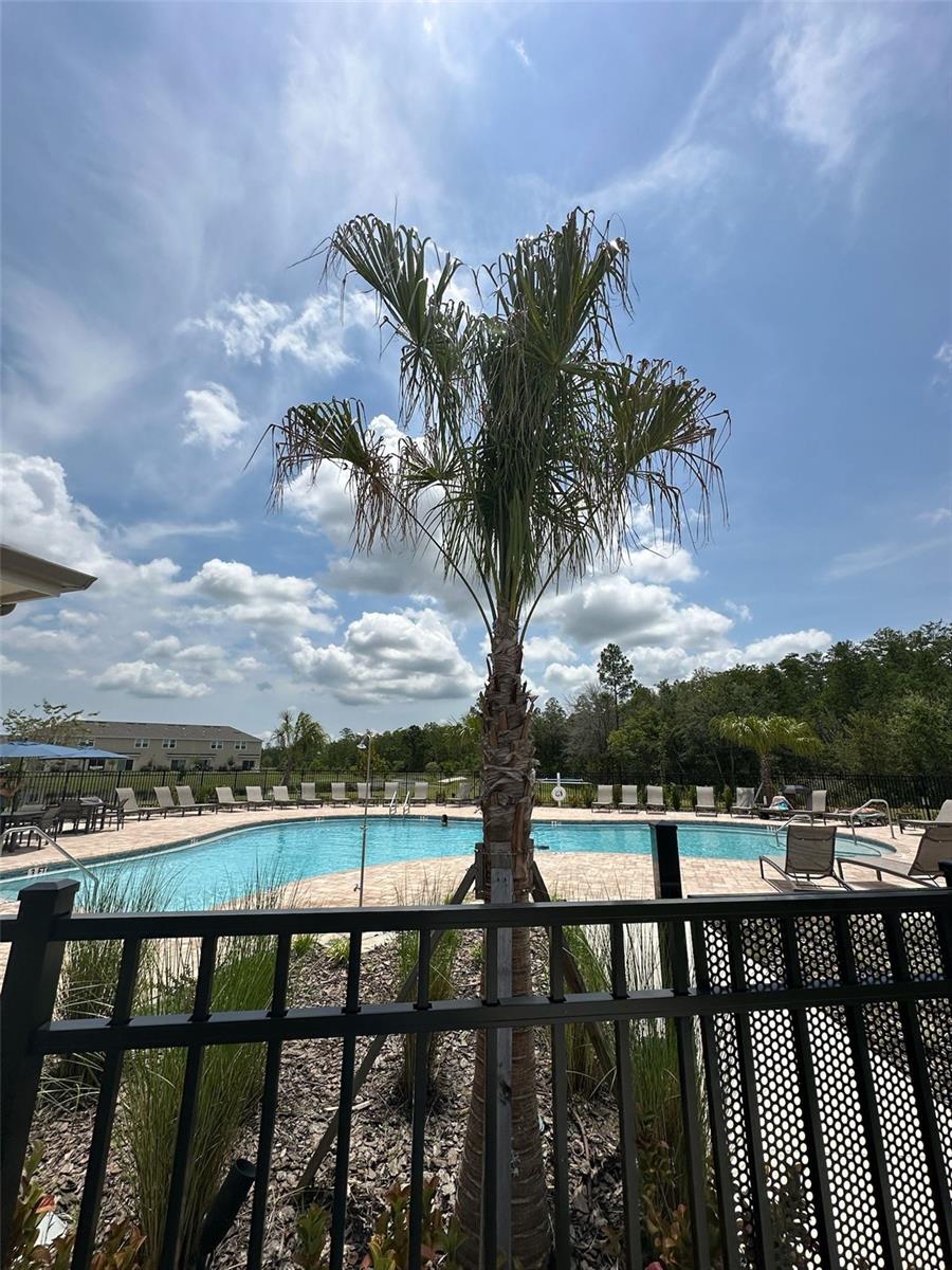 Image 4 of 8 For 3166 Skyline Loop