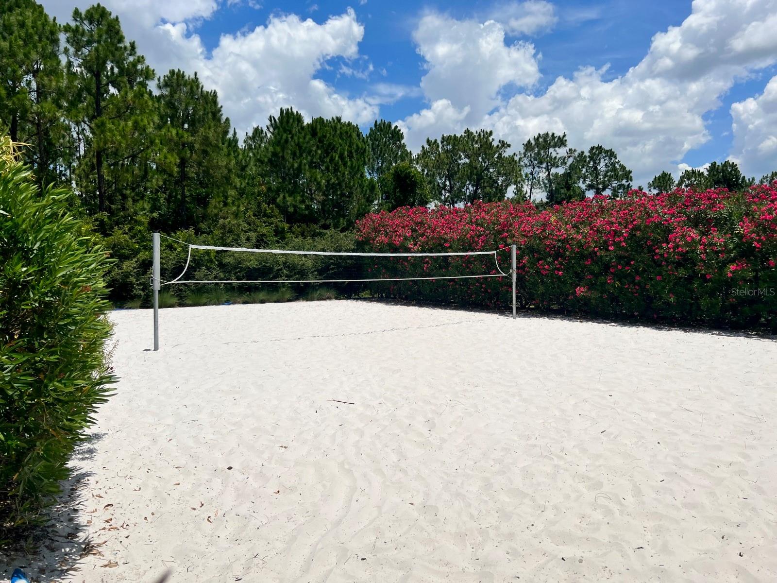 Image 20 of 20 For 955 Conch Road