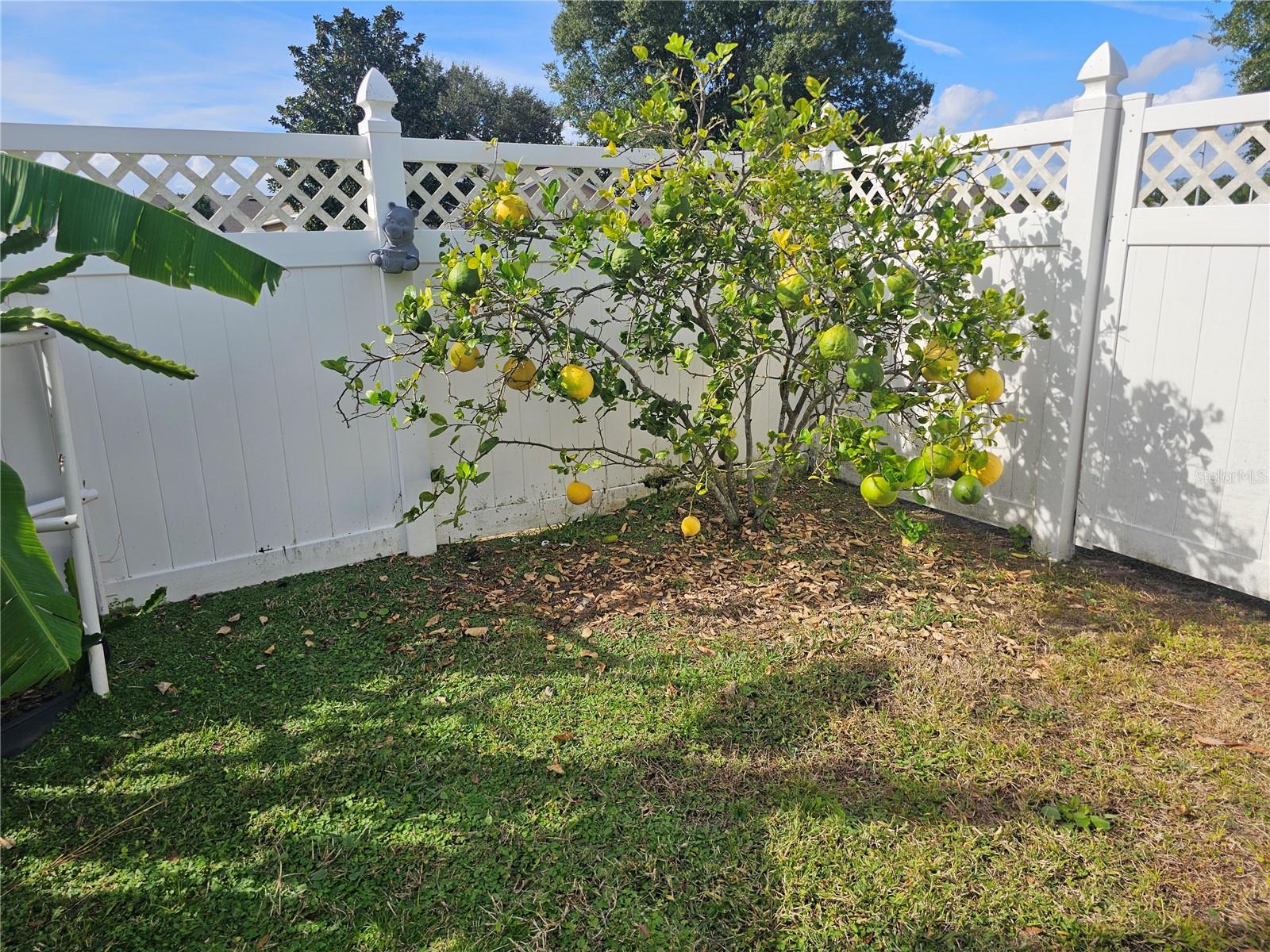 Image 27 of 30 For 7949 Golden Pond Circle