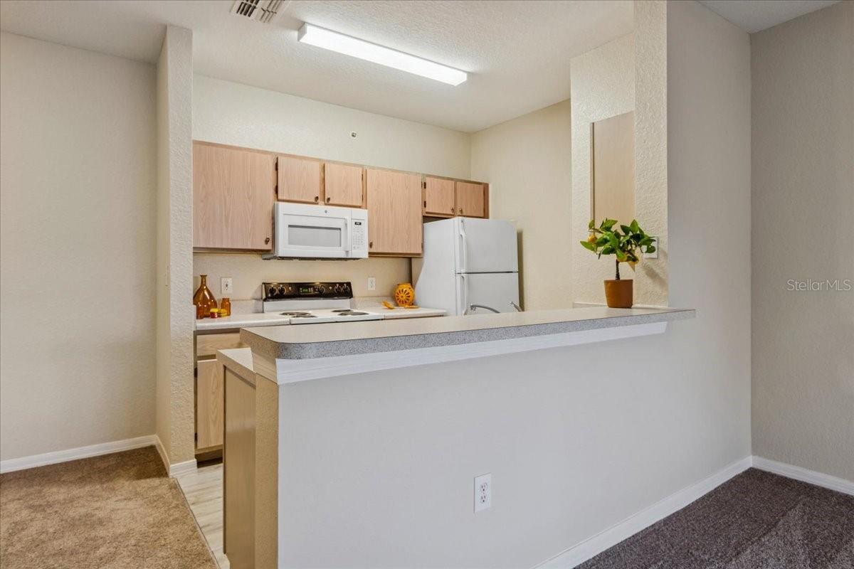 Image 14 of 45 For 5479 Vineland Road 9310