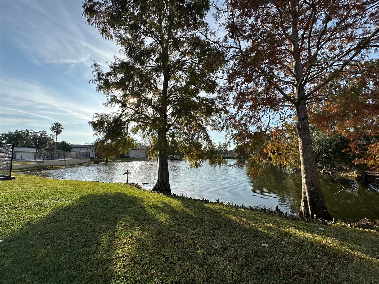 Image 6 of 29 For 22 Windtree Lane 203