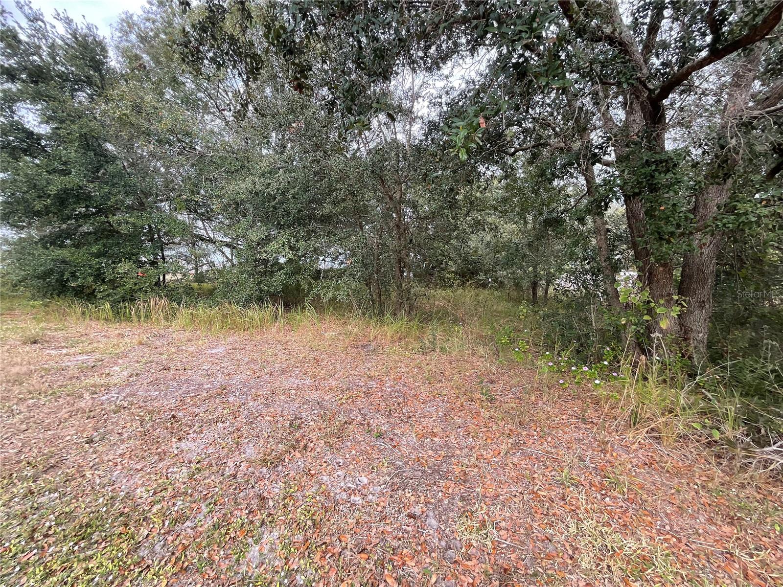 Image 18 of 29 For 1701 Sanford Street