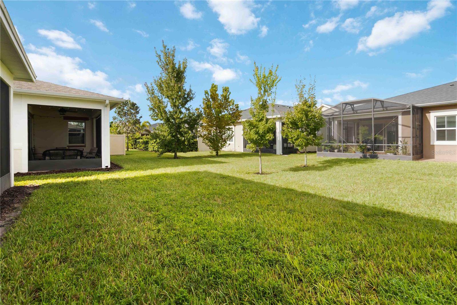 Image 43 of 43 For 2476 Datura Loop