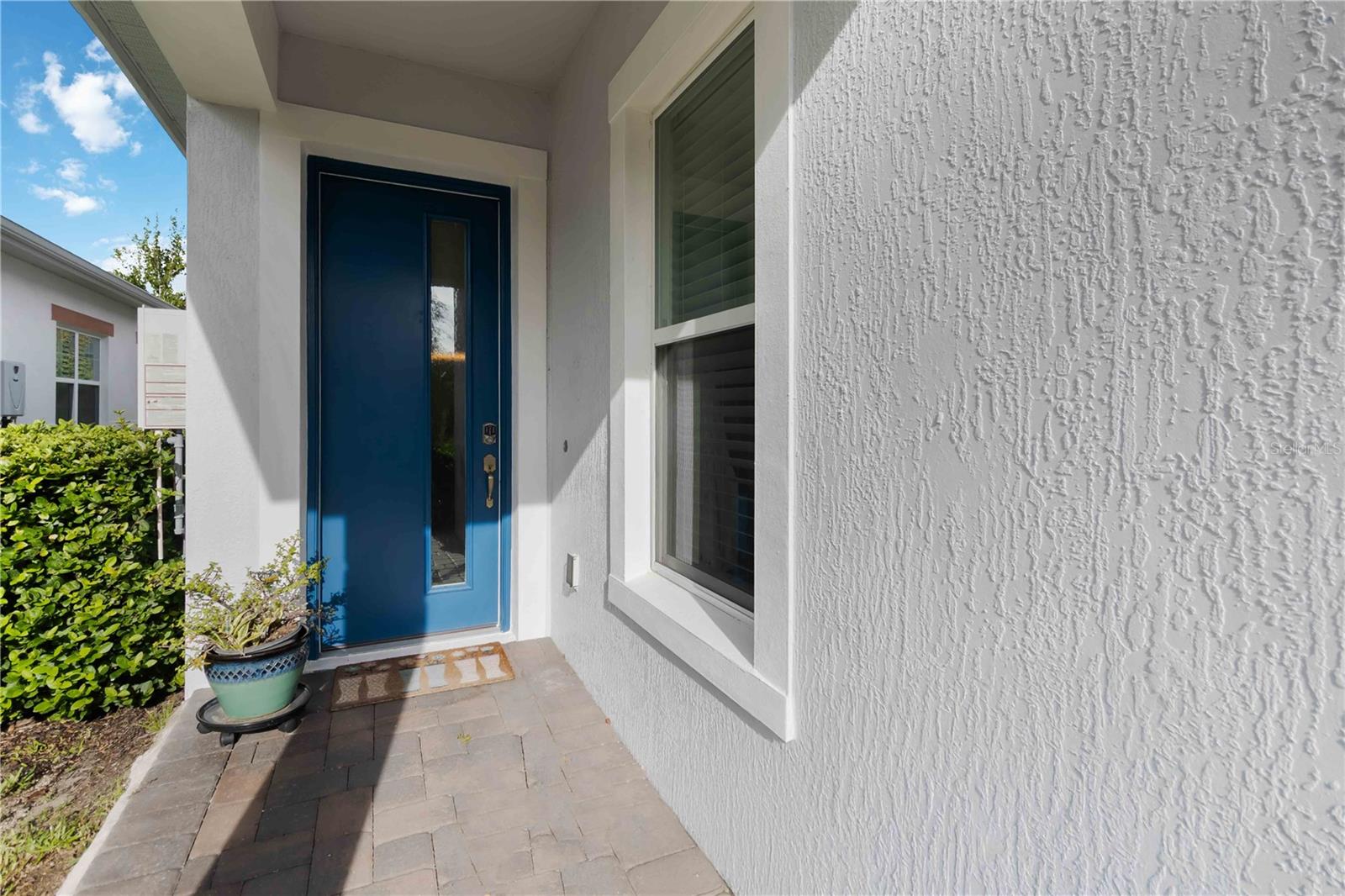 Image 7 of 43 For 2476 Datura Loop