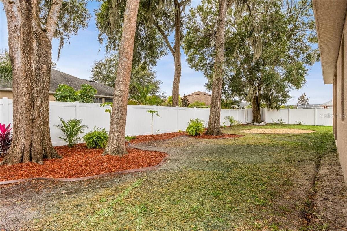 Image 22 of 23 For 516 Walking Fern Loop