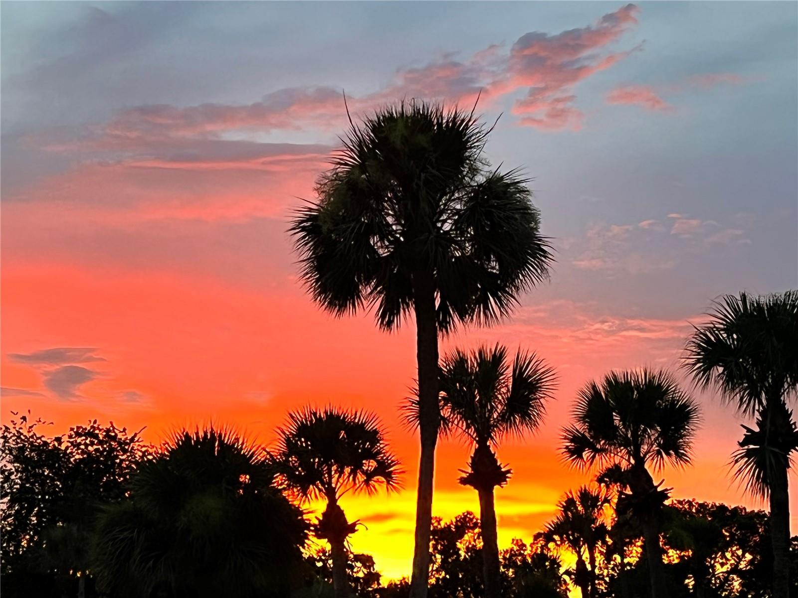 Image 35 of 44 For 3415 Santa Monica Drive