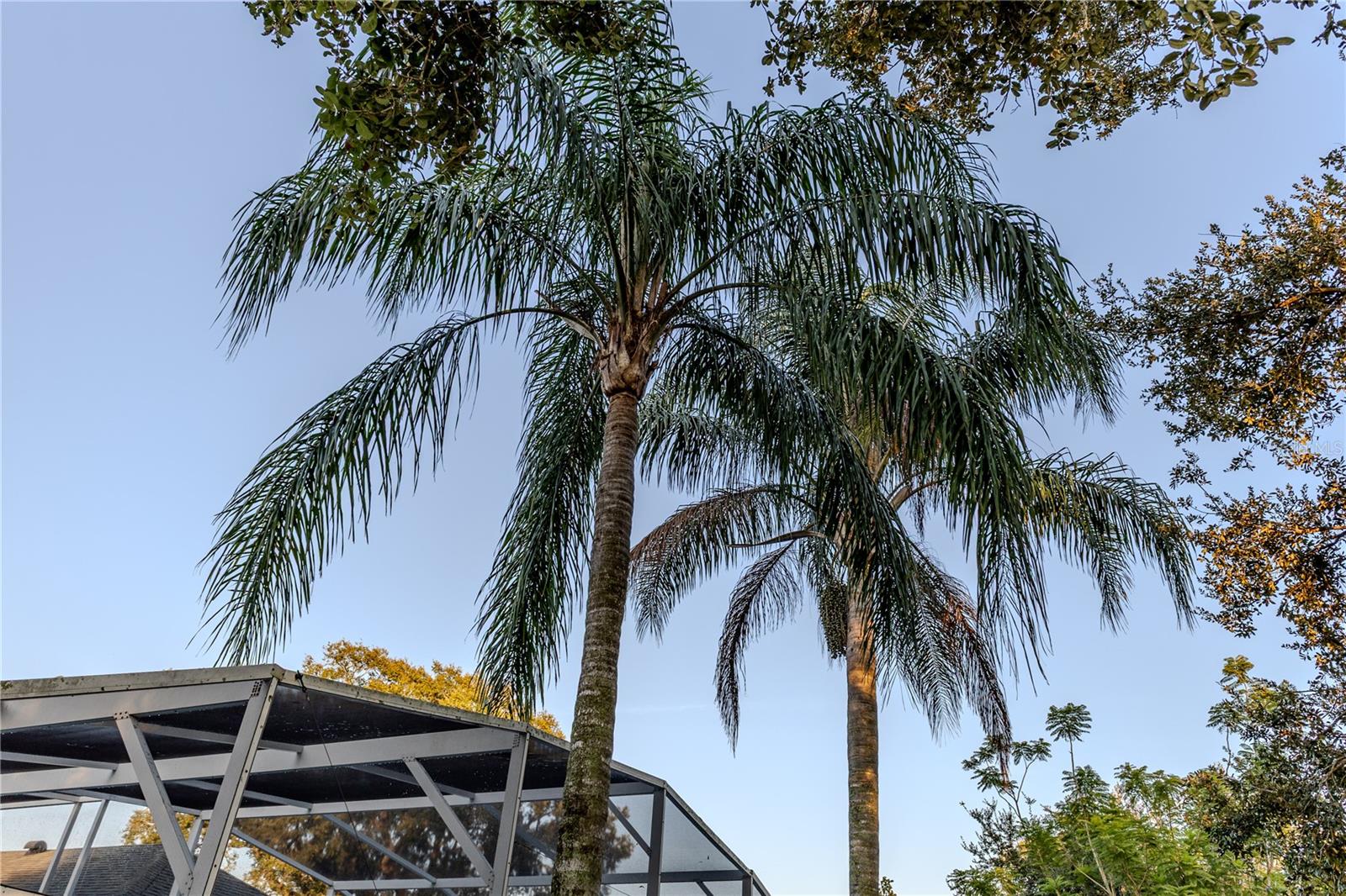 Image 28 of 34 For 1229 Hancock Circle