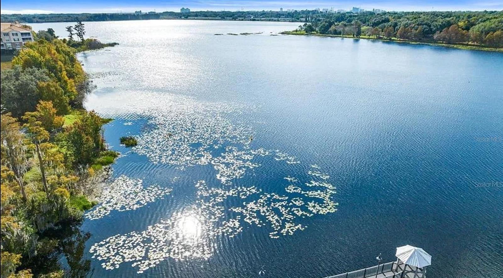 Image 38 of 46 For 6413 Astor Village Avenue 216