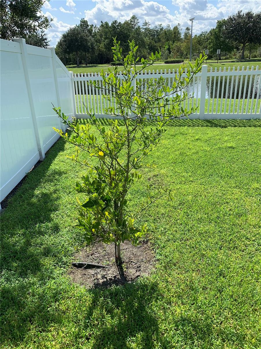 Image 28 of 30 For 3608 Cape Court