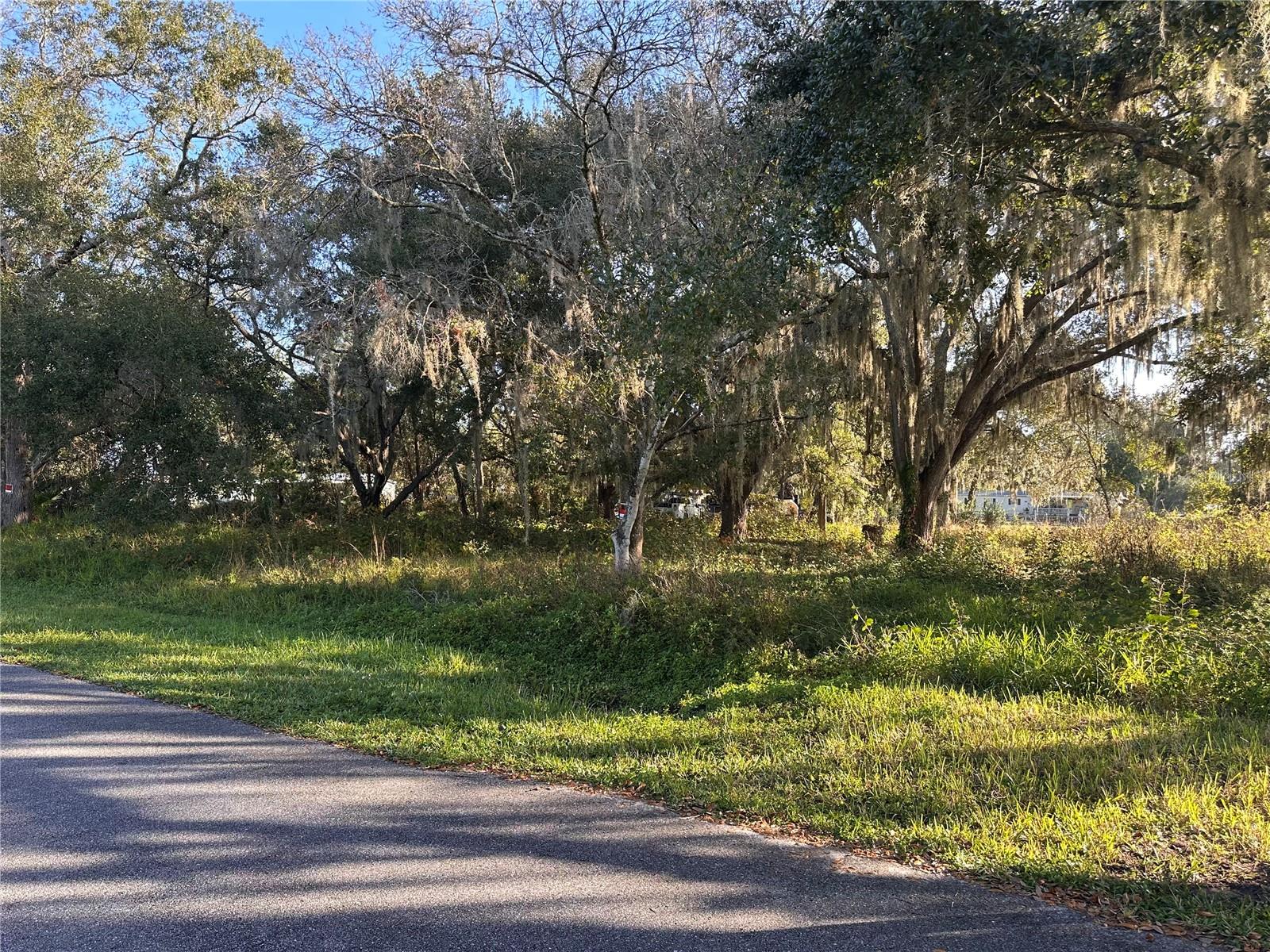 Details for  4th Avenue , KENANSVILLE, FL 34739