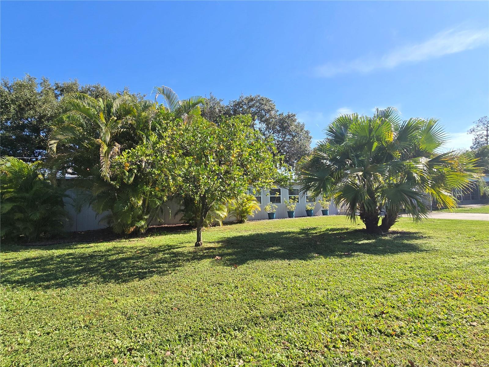 Image 8 of 53 For 1639 Flounder Street