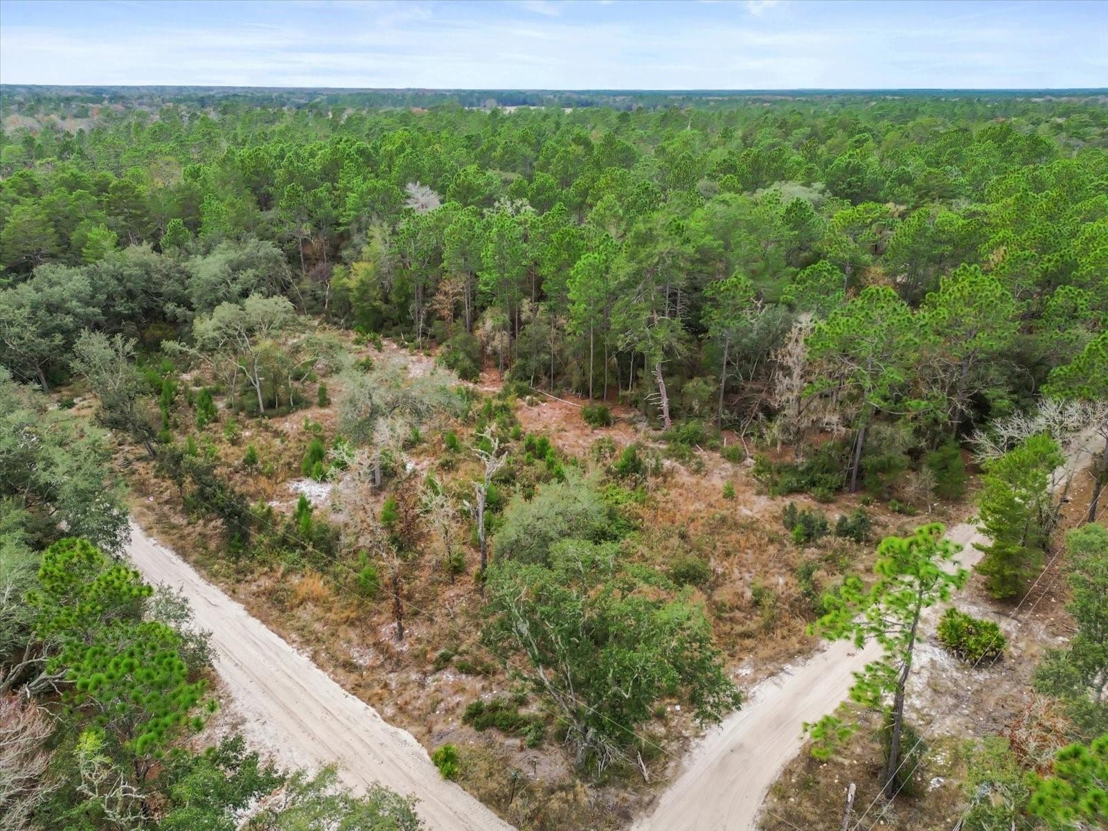 Image 10 of 12 For 158th Lane