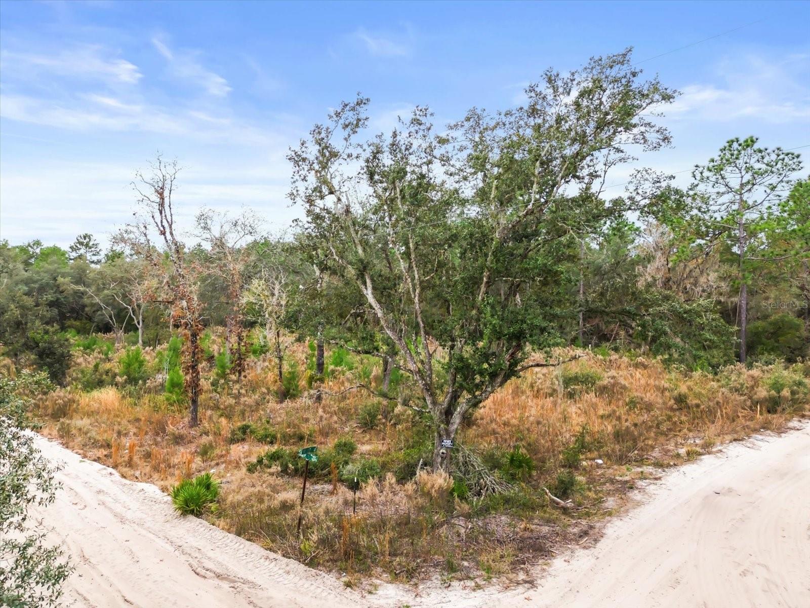 Image 11 of 12 For 158th Lane