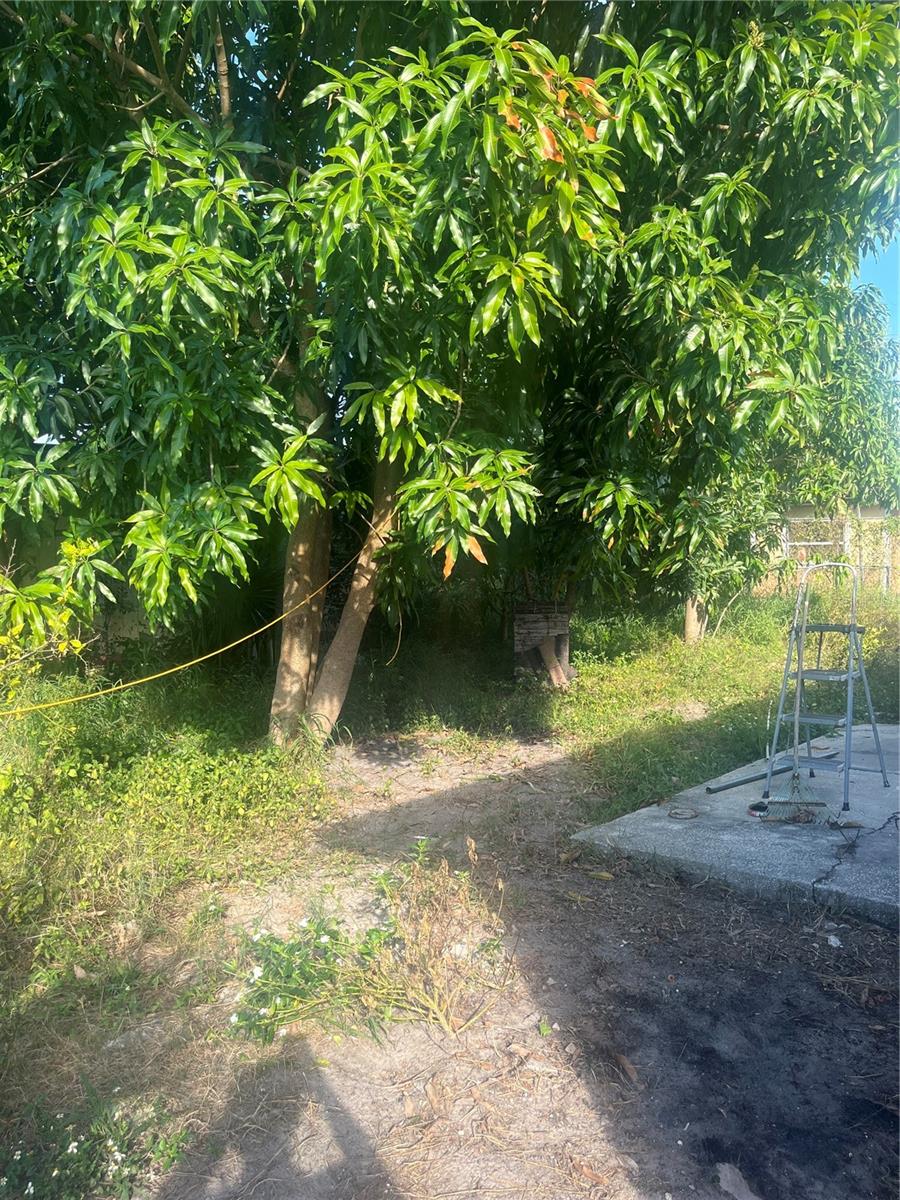 Image 15 of 15 For 4919 Keith Place