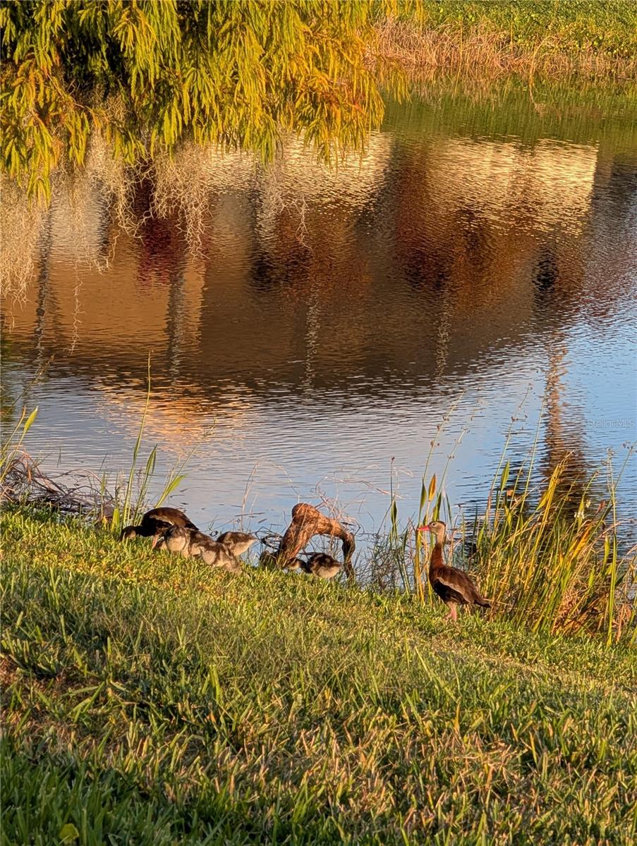 Image 21 of 22 For Address Not Provided