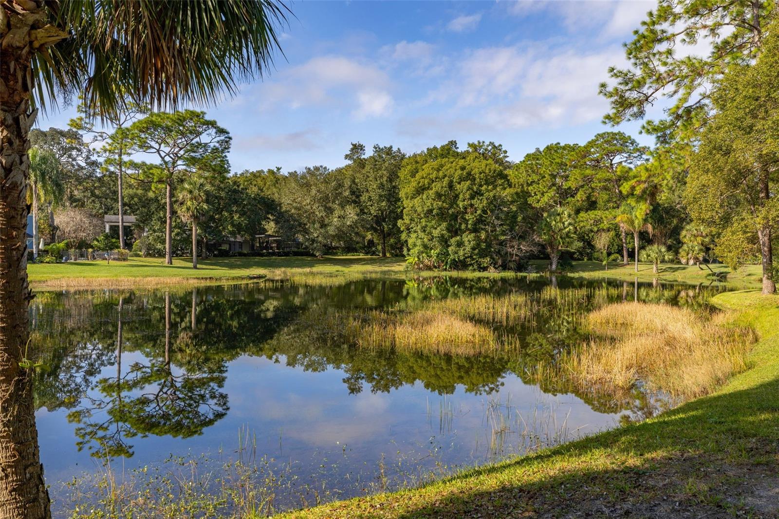 Image 65 of 93 For 204 Blue Lake Drive