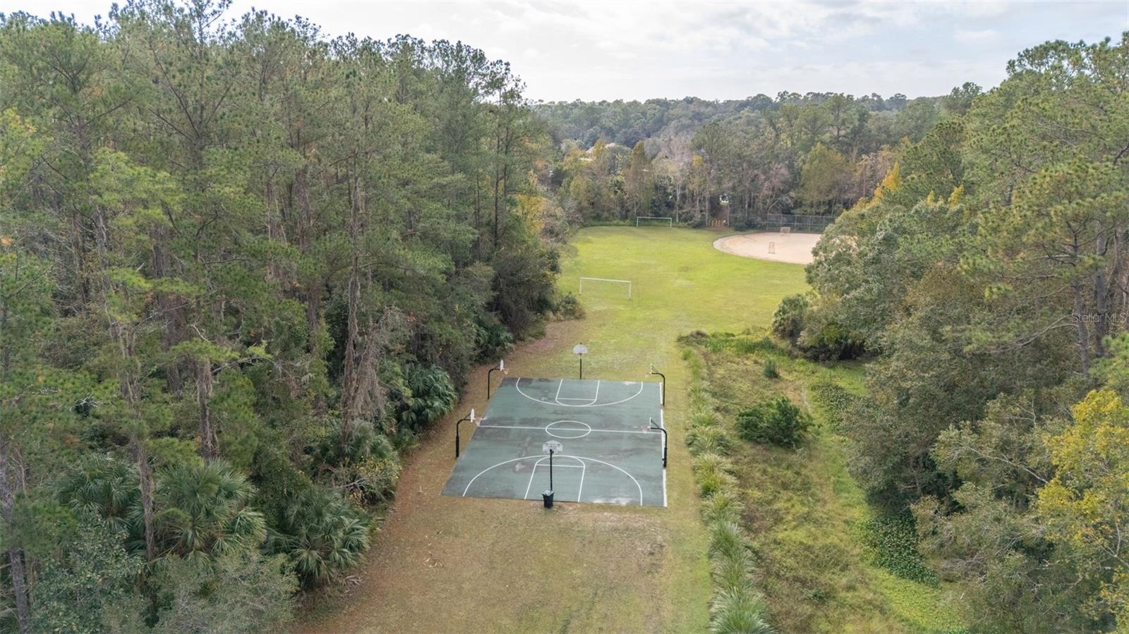 Image 92 of 93 For 204 Blue Lake Drive