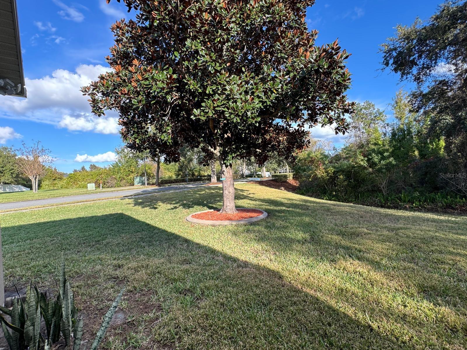 Image 20 of 20 For 1268 Toluke Point