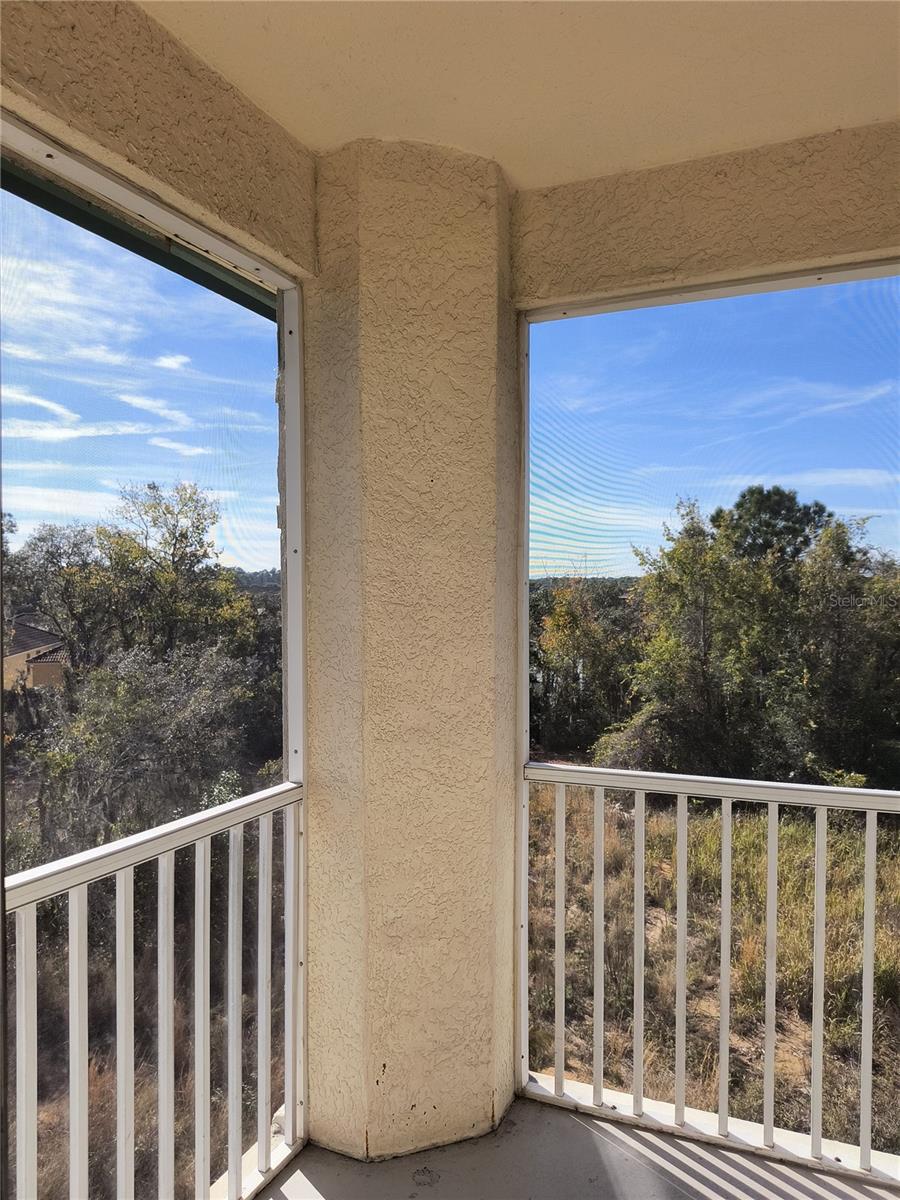 Image 25 of 31 For 8904 Legacy Court 312