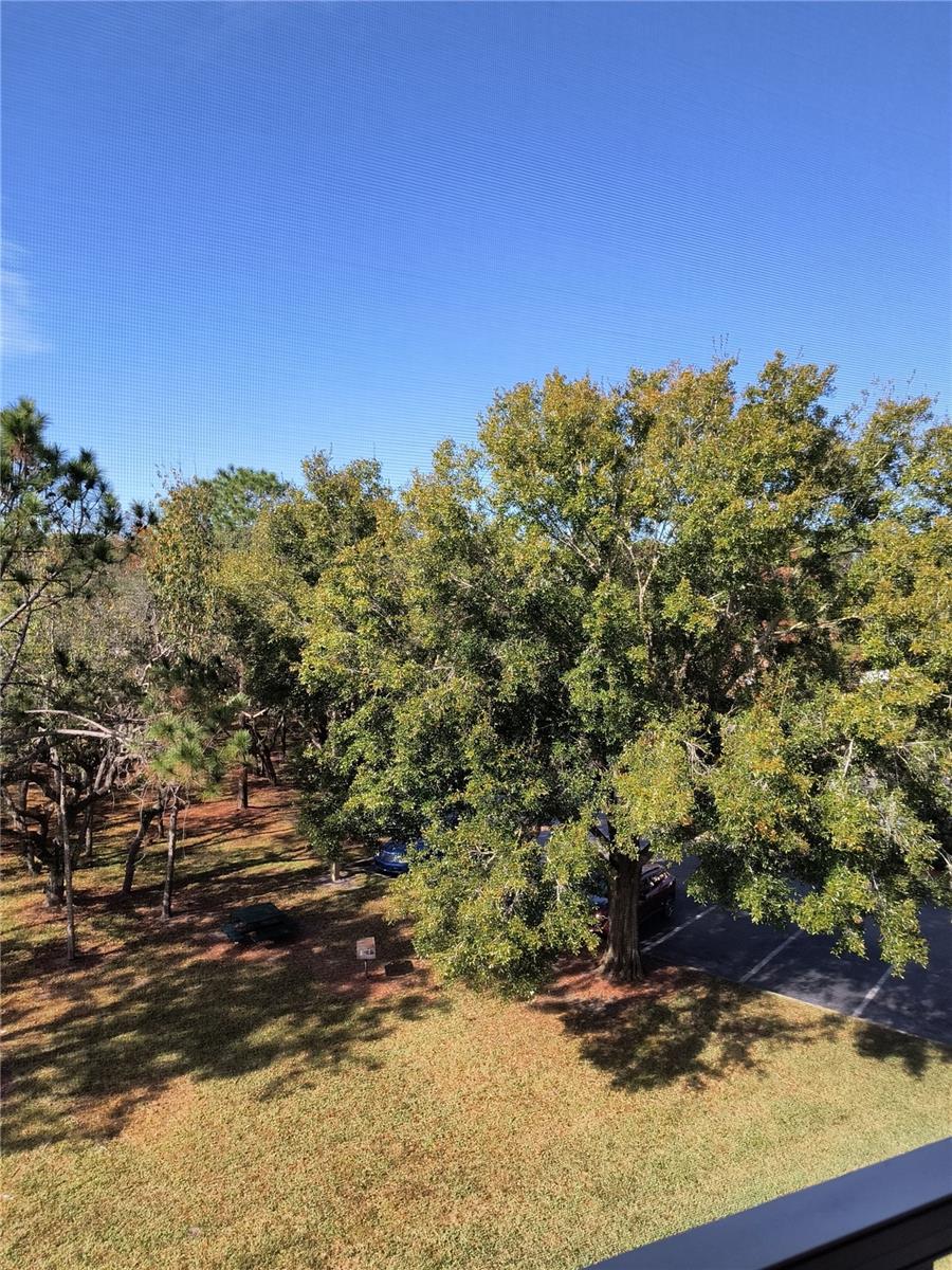 Image 33 of 35 For 8910 Legacy Court 308