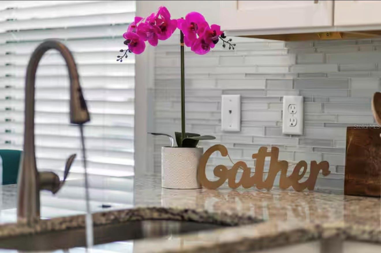 Image 25 of 52 For 4785 Terra Esmeralda Drive