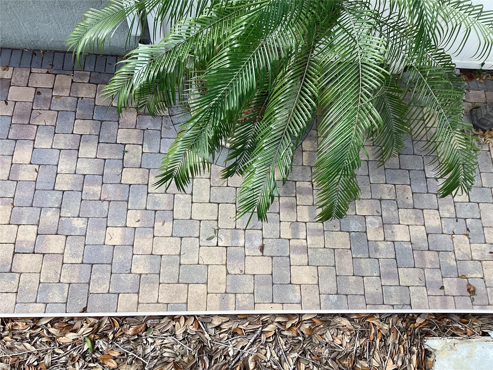 Image 53 of 58 For 3291 Brewster Drive