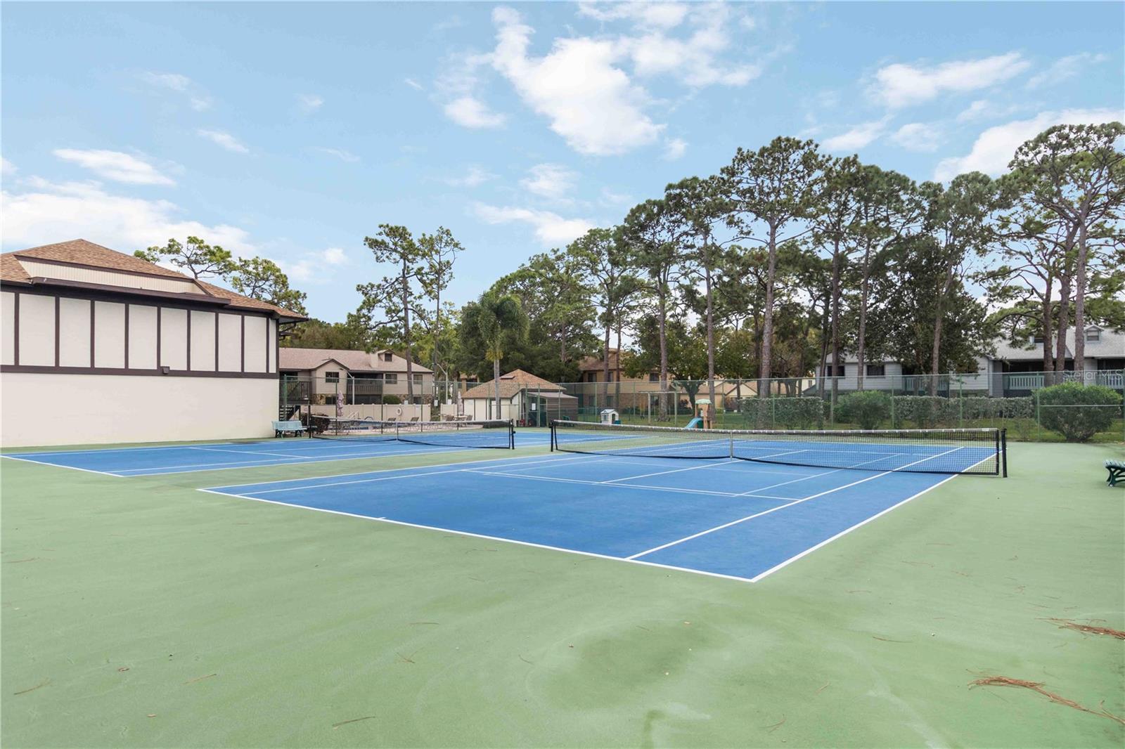 Image 41 of 42 For 610 Saint Albans Court 19d