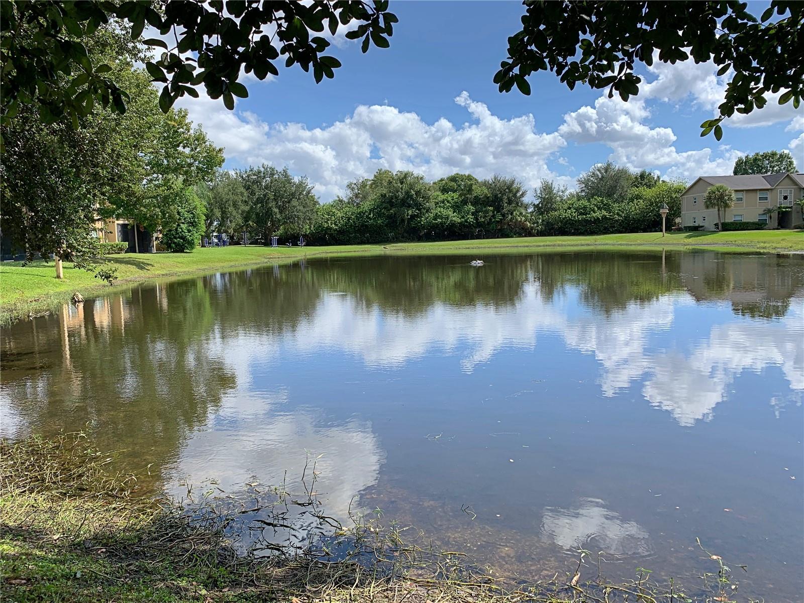 Image 20 of 21 For 9800 Turf Way 2