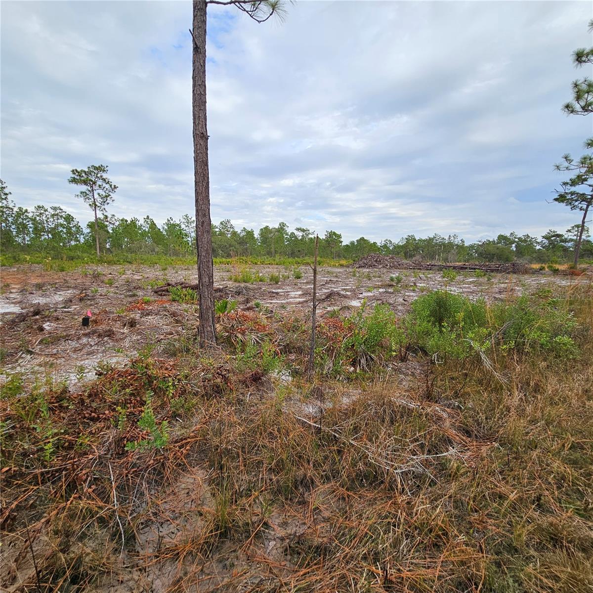 Image 2 of 15 For 108 El Dorado Dr