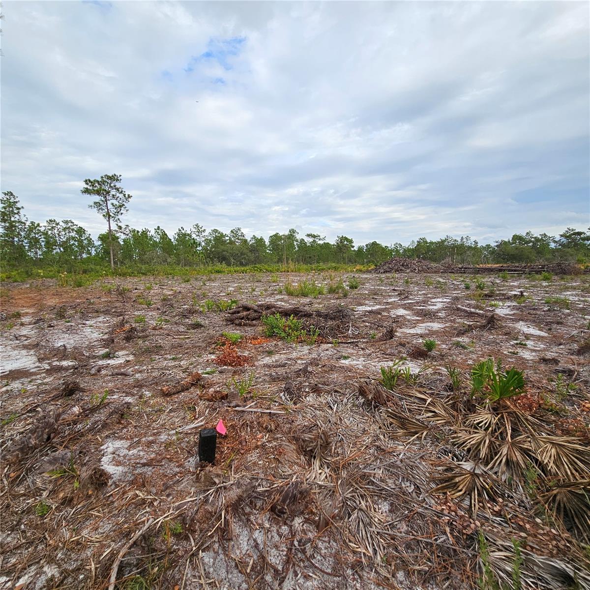 Image 3 of 15 For 108 El Dorado Dr