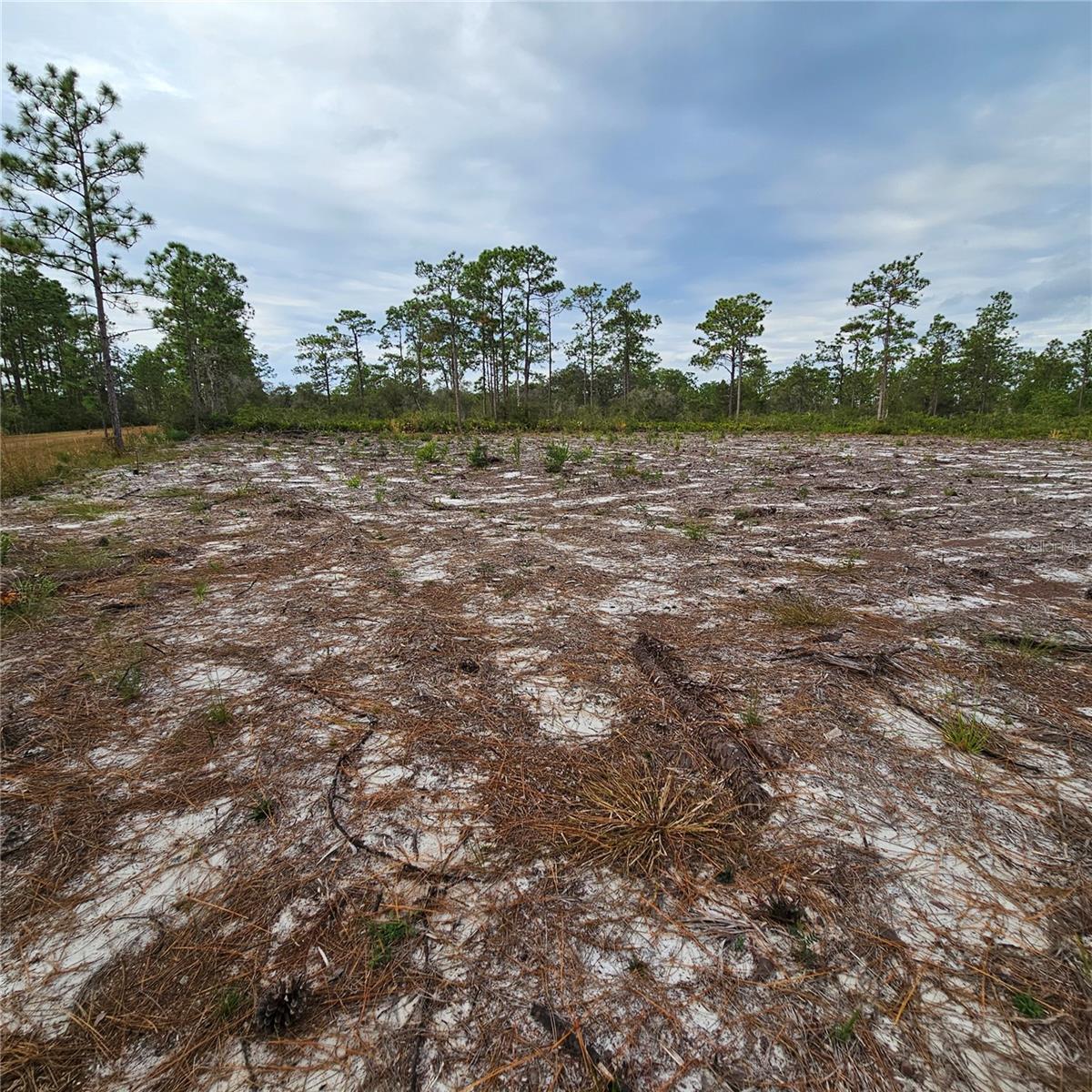 Image 7 of 15 For 108 El Dorado Dr