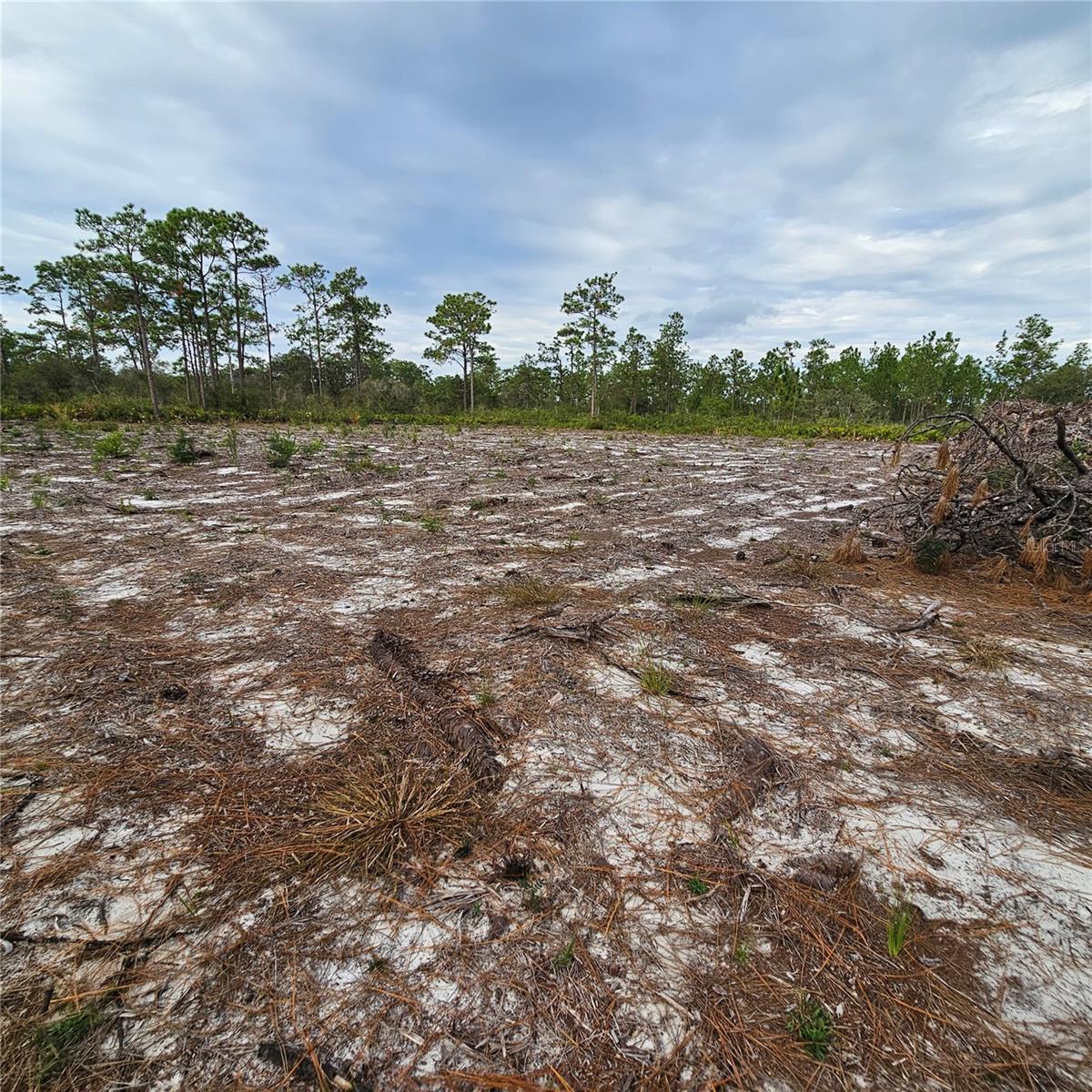 Image 9 of 15 For 108 El Dorado Dr