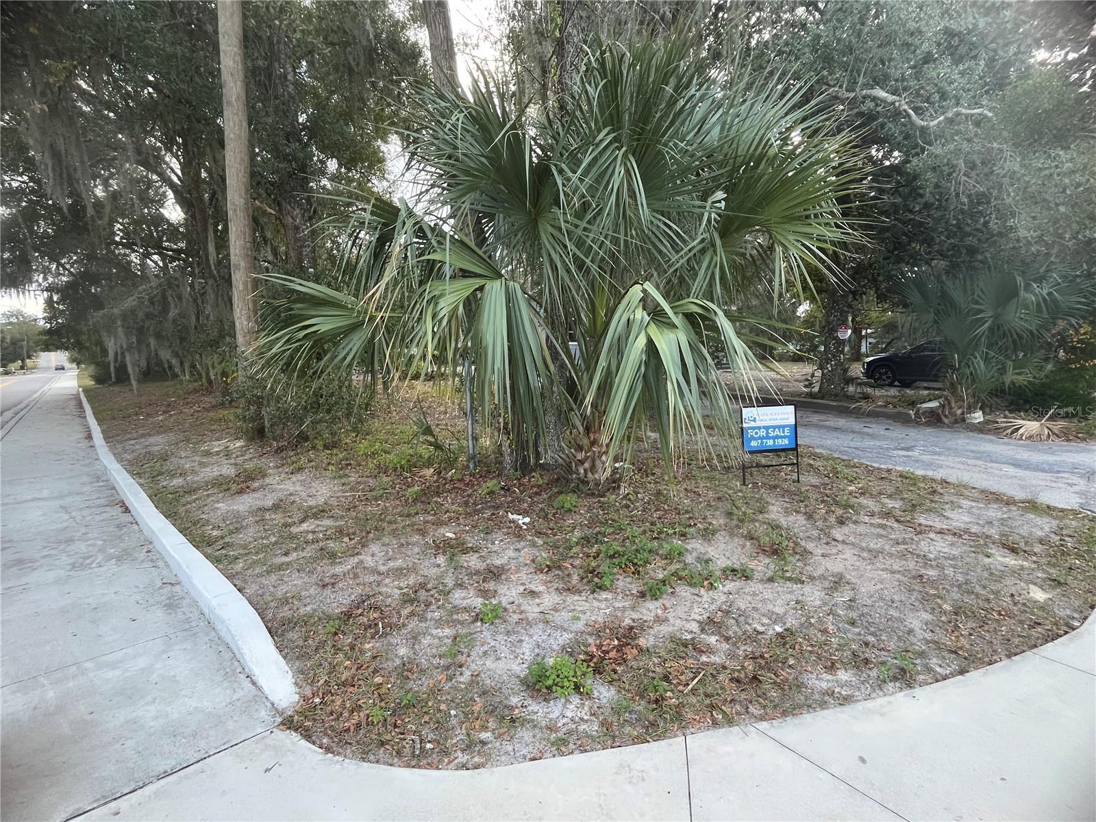 Image 19 of 76 For 704 Euclid Avenue