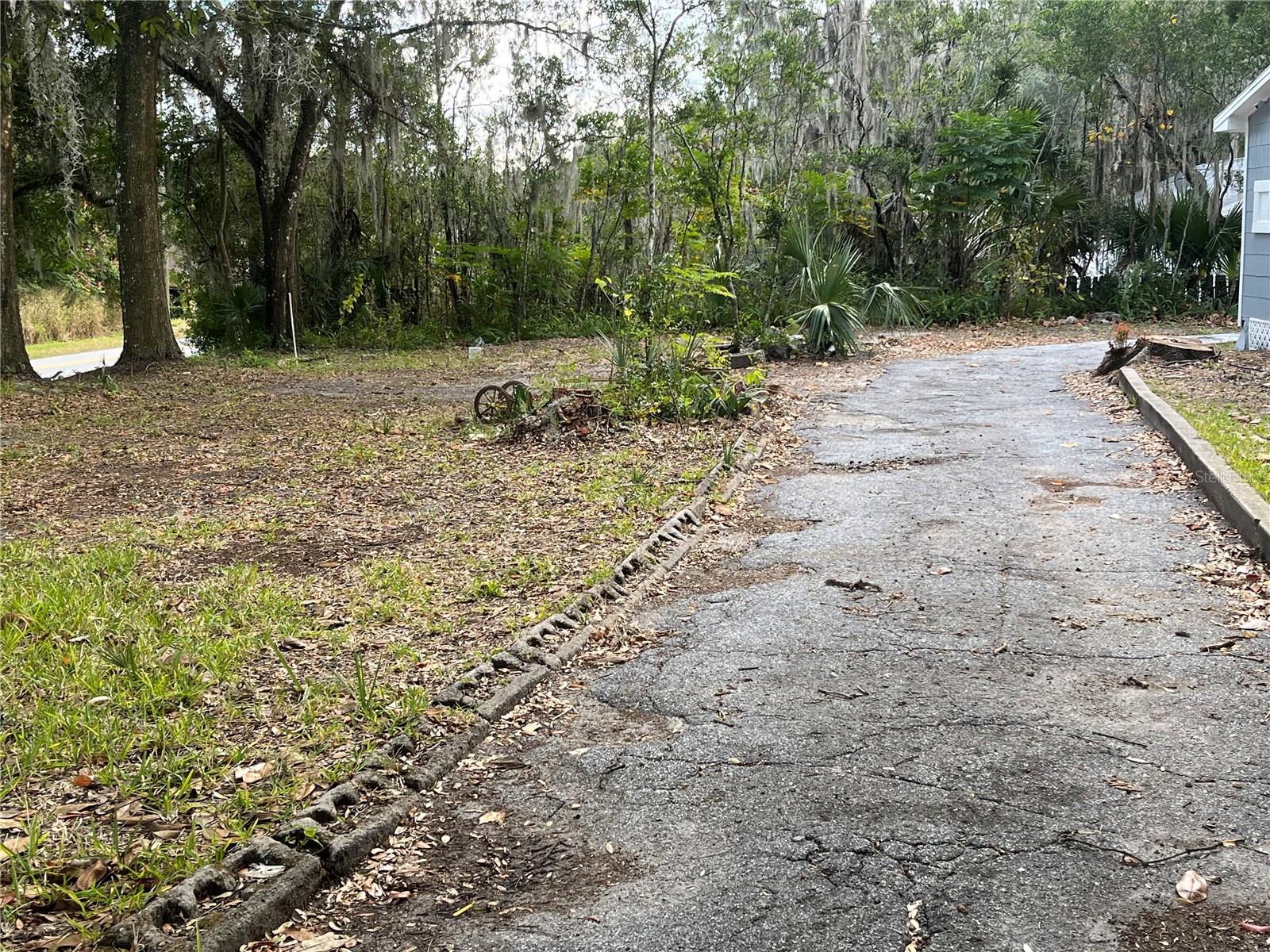 Image 4 of 76 For 704 Euclid Avenue