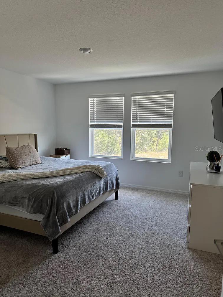 Image 21 of 22 For 1572 Swan Swim Drive