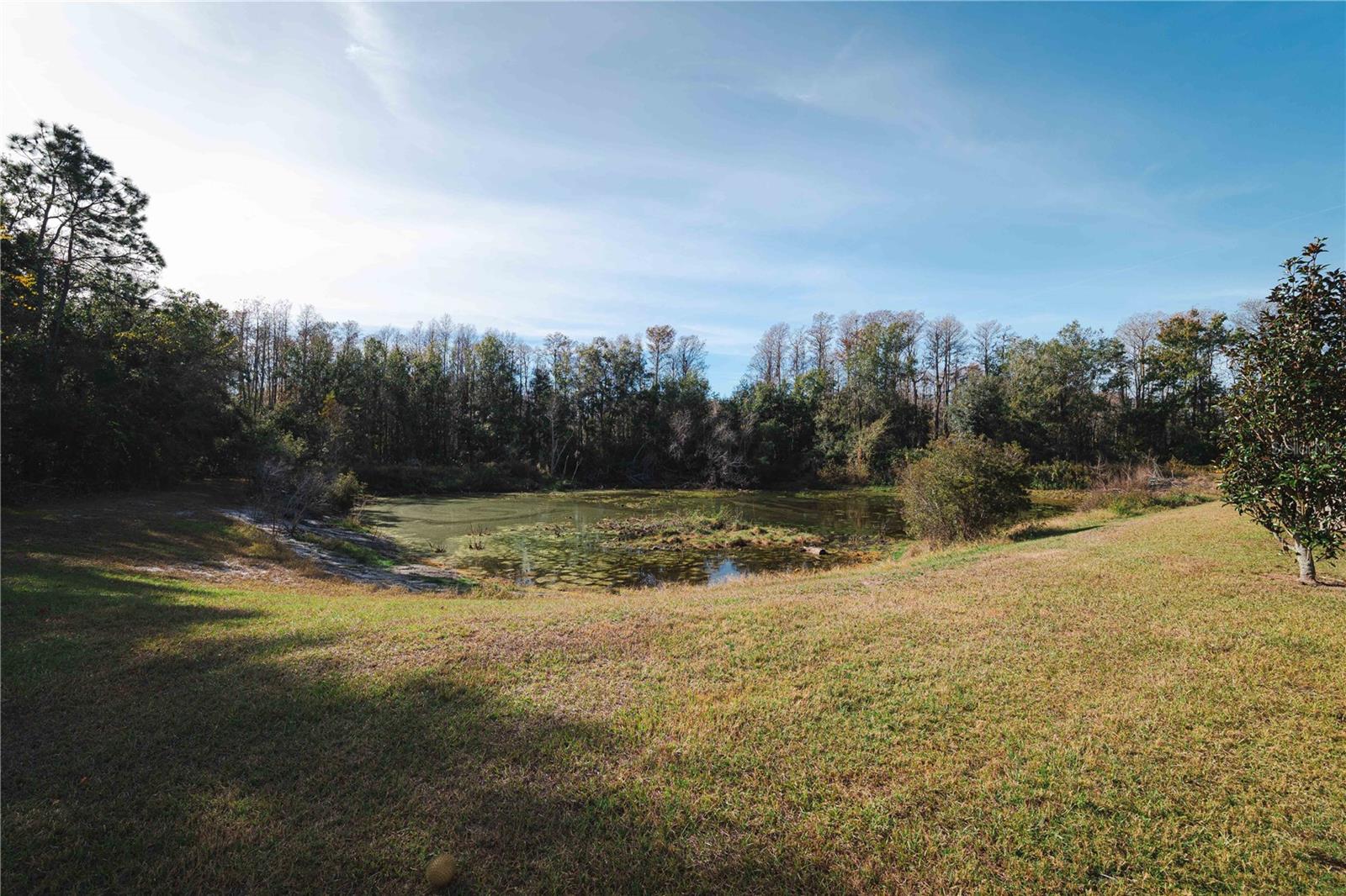 Image 28 of 41 For 13320 Crest Lake Drive