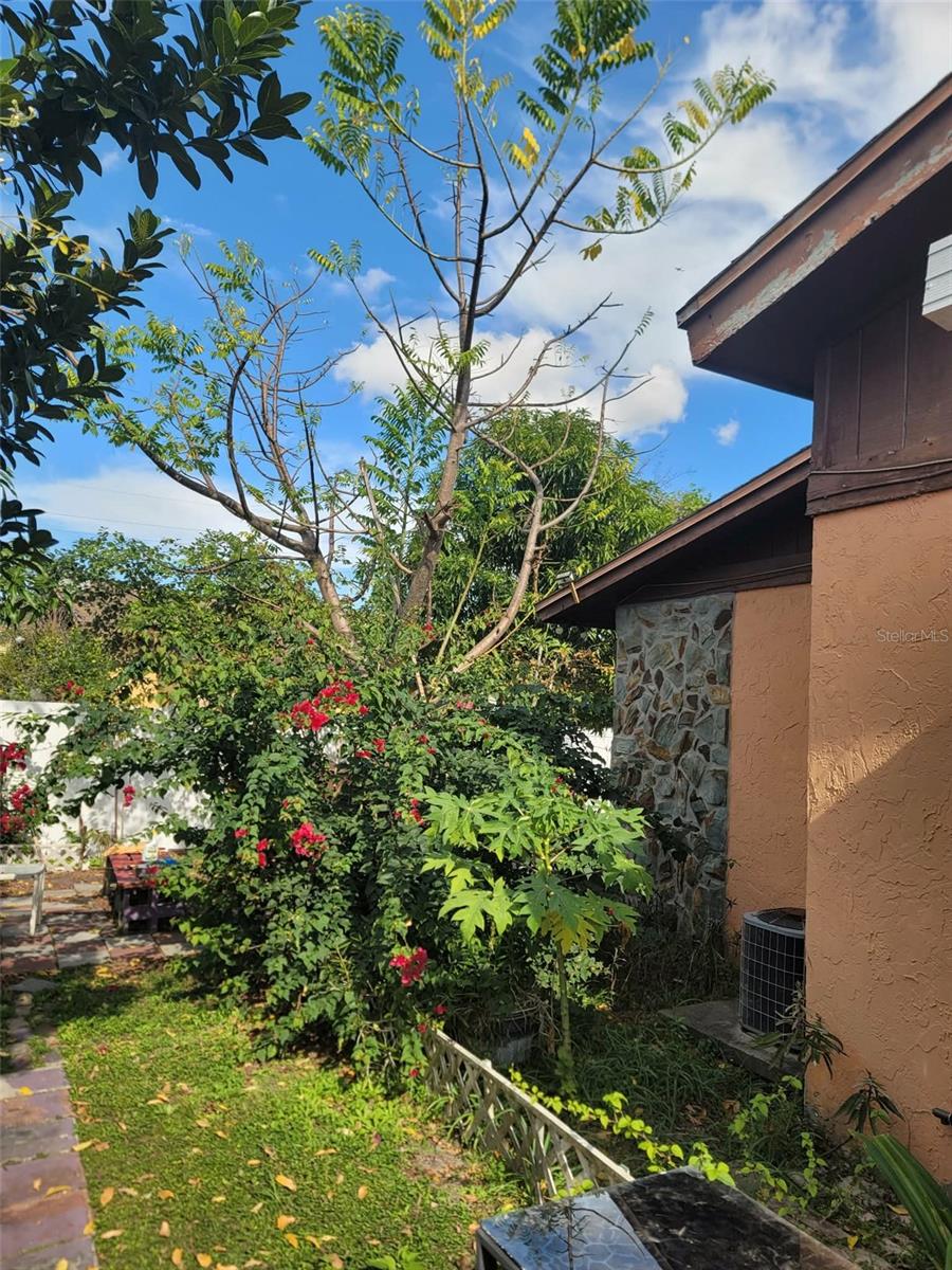 Image 4 of 36 For 4177 Flying Fortress Avenue