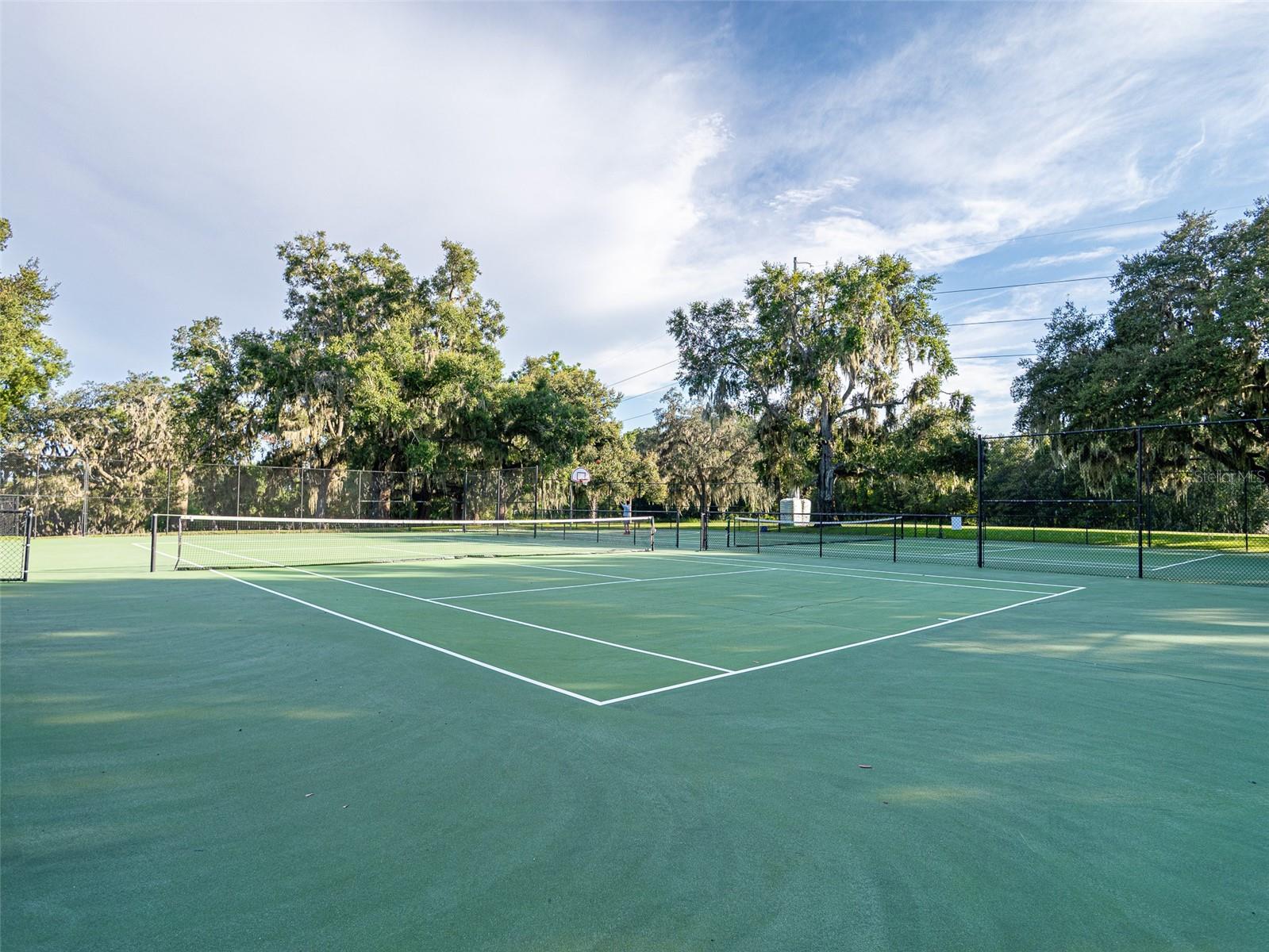 Image 49 of 60 For 34142 Madiera Lane