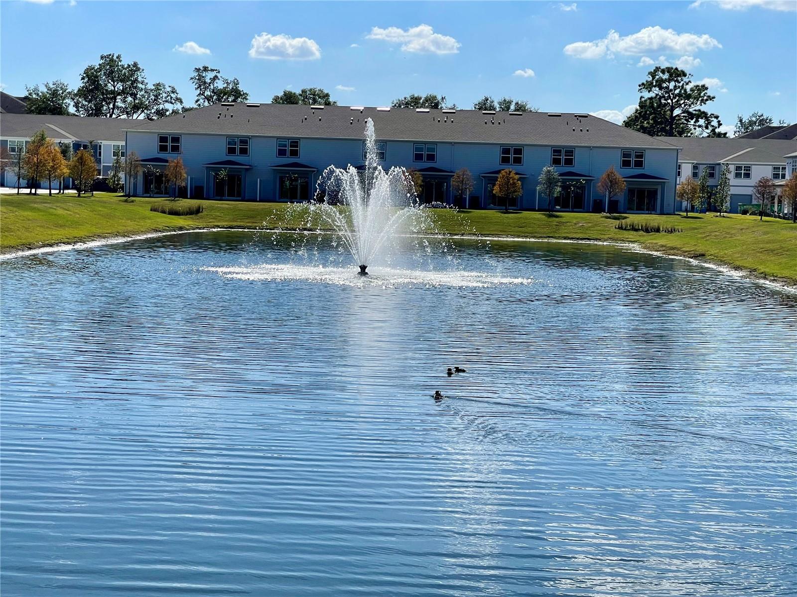 Image 35 of 40 For 1994 Canny Cove