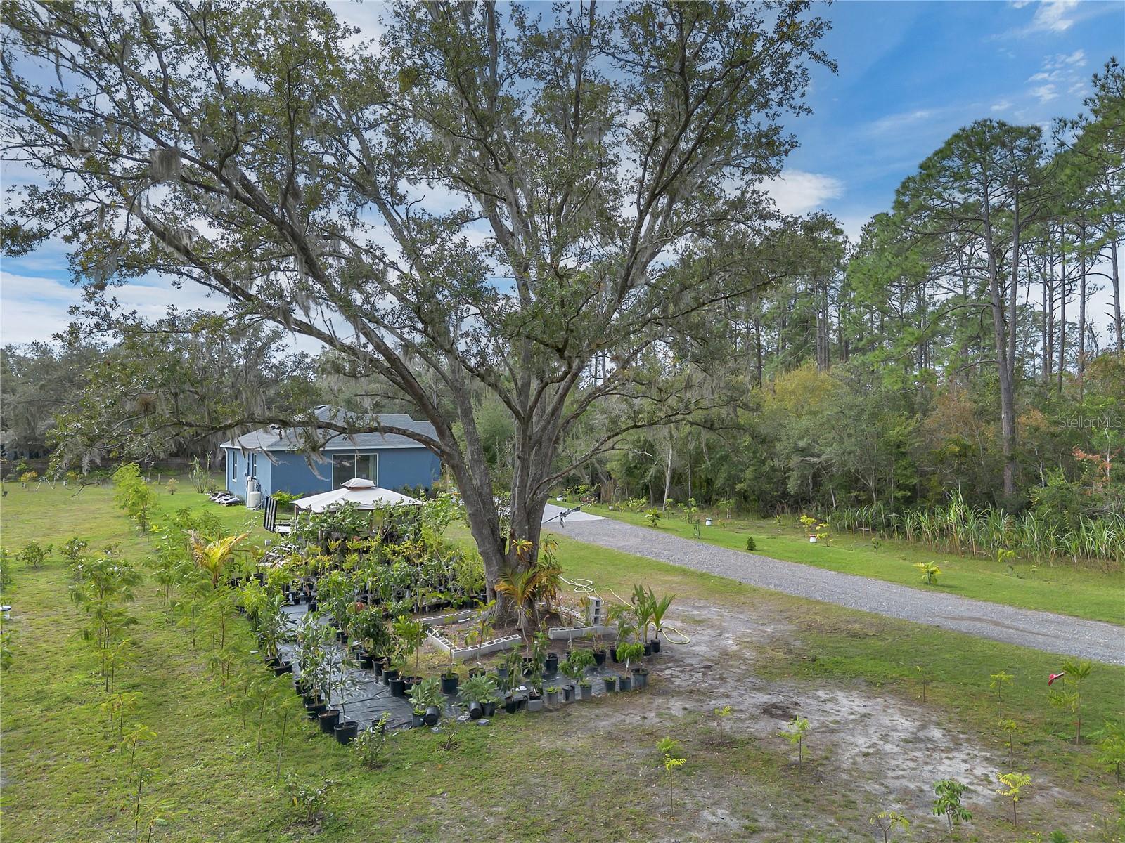 Image 18 of 31 For 5440 Boutin Lane