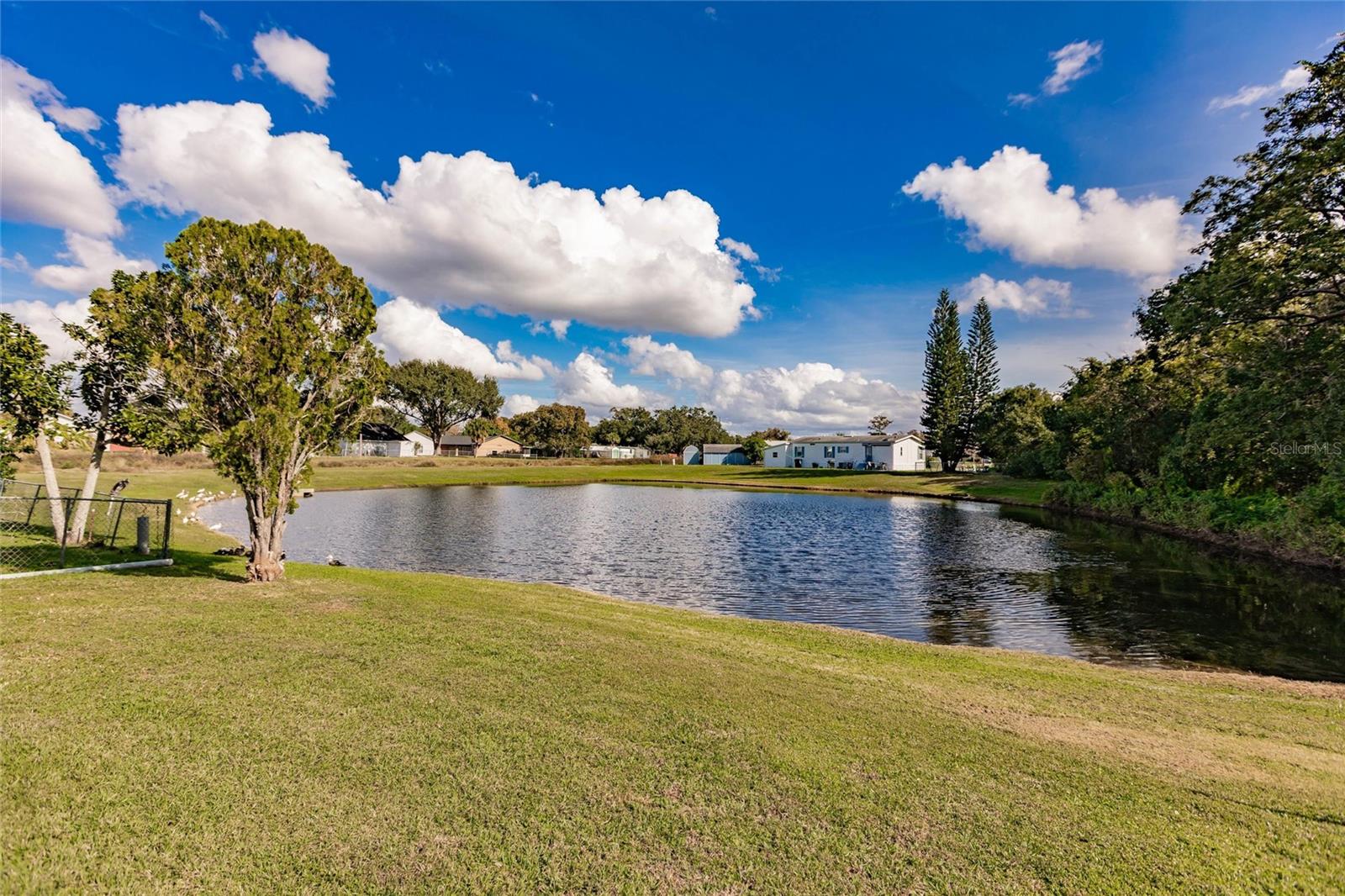 Image 30 of 35 For 1961 Crystal Lane