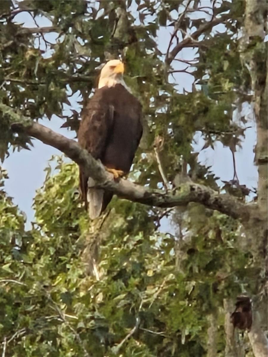 Image 28 of 30 For 4705 Kissimmee Park Road