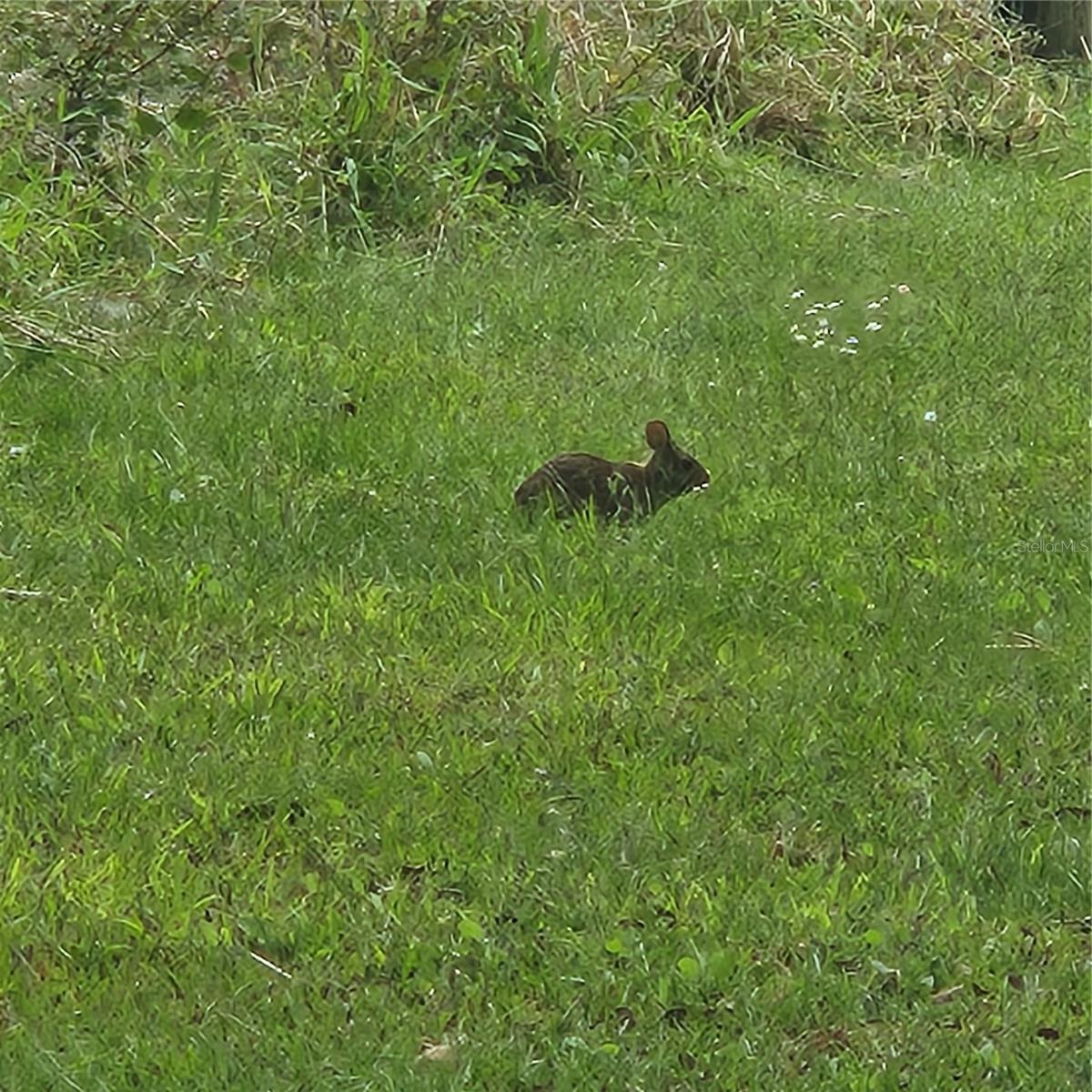 Image 30 of 30 For 4705 Kissimmee Park Road