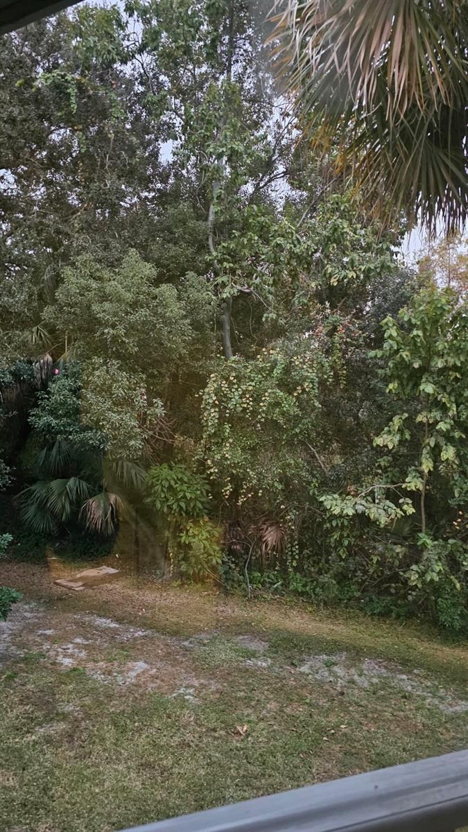 Image 10 of 10 For 2514 Lemon Tree Lane I