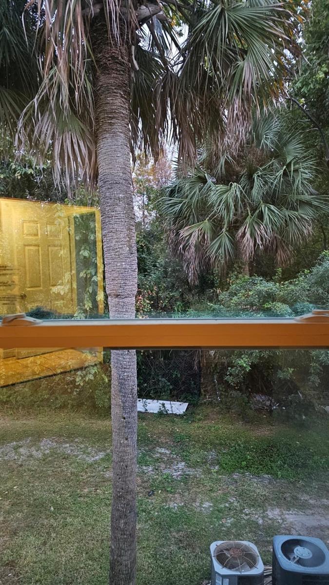 Image 9 of 10 For 2514 Lemon Tree Lane I